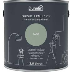 Dunelm Sage Eggshell Emulsion Radiator Paint, Wall Paint Sage 2.5L