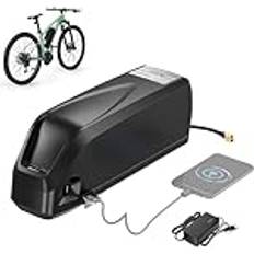 48V 20Ah Elcykelbatteri Med Laddare