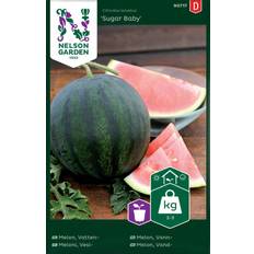 Nelson Garden Fröer Nelson Garden Watermelon Seed 36 pack