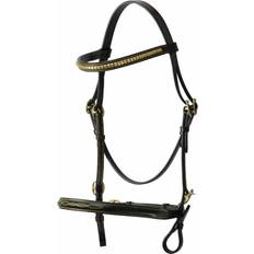 Bridles & Accessories HY Equestrian In-Hand Bridle - Black
