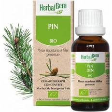 Compléments Herbalgem Macérat Concentré Pin des Montagnes Bio 30 ml