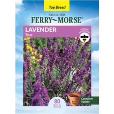 Herb Seeds Ferry-Morse 150MG Lavender True Perennial Herb Seeds Full Sun