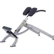 SteelFlex Hyperextension Bänk