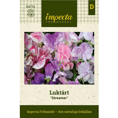 Luktärt 'Streamer'