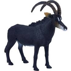Mojo Sable Antelope Wildlife Animal