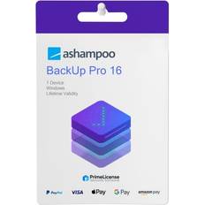 Backup Pro 16