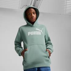 Gröna Hoodies Puma Men's ESS No. 1 Logo Fleece Hoodie - Green Moon