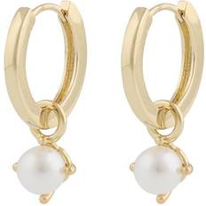 Snö of Sweden Guld Örhängen Snö of Sweden Örhänge Lucy Ring Pendant Ear - Guld