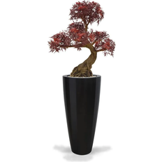Green4Ever Imperial Silver Aralia Bonsai with UV Protection Red Konstgjord växt