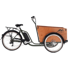 Cangoo Cargo Ebike Easy T6 26" 250W Rwd 14.5Ah Green
