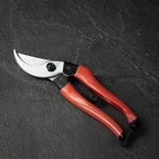 Burgon & Ball Pruning Tools Burgon & Ball RHS Collector's Bypass Secateurs Red