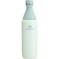 Stanley 20 oz. All Day Slim Bottle, Mist Water Bottle