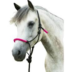 Sjov Farve Etologisk Hovedkrave Blyreb - Black/Fuchsia