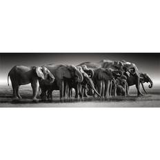 Clementoni Högkvalitativt Herd of Giants Panorama Pussel 1000 Bitar