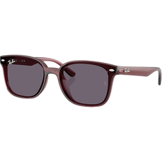 Ray-Ban Unisex Sunglass RB4461D - Transparent Dark Brown/Violet