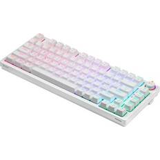 Savio Phenix Gateron Yellow Pro Wireless Mechanical Keyboard