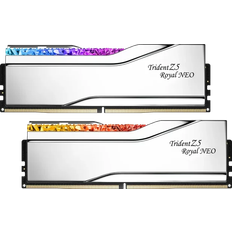 G.Skill DDR4 RAM G.Skill Hukommelse, Sølv F5-8000J3848H16GX2-TR5NS
