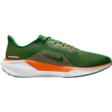 Nike FAMU Pegasus Nike Men's College Road Running Shoes in Green, FZ5112-300