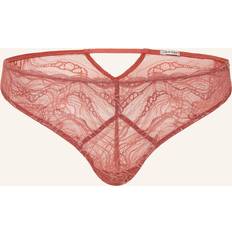 Calvin Klein Brown Clothing Calvin Klein Sensual Stretch Lace Briefs - Red