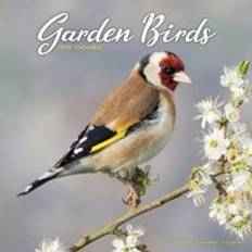 Garden Birds Calendar 2026 Square Birds Wall Calendar 16 Month