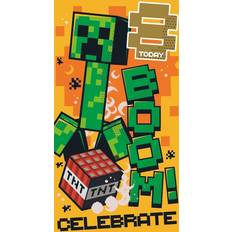 Danilo Minecraft 8th Birthday Card 9 x 5 in