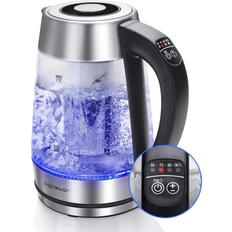Electric Glass Kettle Keep-Warm Detachable