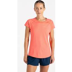Pink - Sportswear Garment T-shirts Dare 2b Women's Corral Lightweight T-Shirt - Pink