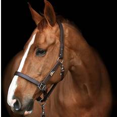 Halters & Lead Ropes Equilibrium Stellar Headcollar - Brown