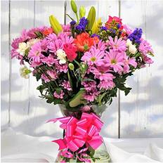 Homeland Florists Value Mixed Fresh Flowers Delivery Next Day Prime Bouquet