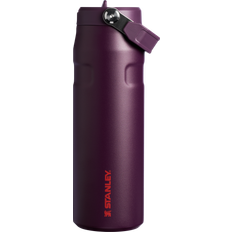 Stanley 24 oz. IceFlow Flip Straw 2.0 Bottle, Purple Water Bottle