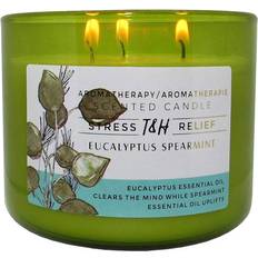 H&H Eucalyptus Spearmint Aromatherapy 3-Wick - Green Scented Candle 16oz