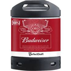 Beer & Spirits Budweiser Lager Beer 6L