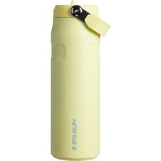 Water jug with straw Stanley 24 oz. IceFlow Flip Straw 2.0 Bottle, Pomelo Water Bottle