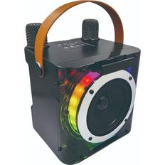 Shein Karaoke Machine with 2 Wireless Microphones