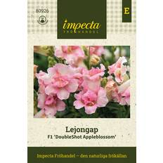 Impecta Lejongap F1 DoubleShot Appleblossom