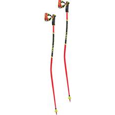Alpinstaver Leki WCR TBS GS 3D 120