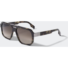 Sunglasses Canada Goose Milford Sunglasses - Havana Khaki/Gradient Brown Smoke
