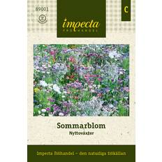 Impecta Blomsterblandning Biväxter