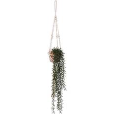 Grøn - Terrakotta: Krukker Atmosphera Kunstig Senecio Ali 92 cm Krukke