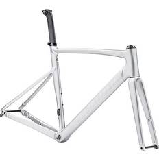 Bicycle Frames Specialized Allez Sprint Frameset Satin Silver Dust Gloss Transparent Decals 58