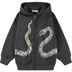 24-36M Hoodies Barnkläder Molo Mazzo Hoodie - Unexplored