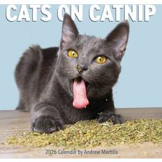 Cats On Catnip 2026 Wall Calendar