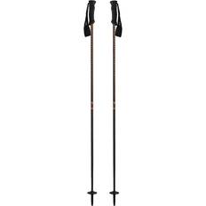 Downhill Ski Poles Black Crows Stans Ski Poles 110 cm