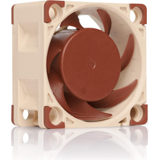 Noctua NF-A4X20 PWM Premium Quiet Fan 40 x 20 mm Brown