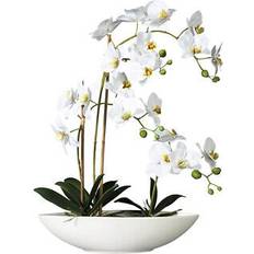 Keramik Konstgjorda växter Konstväxt Orkidé Phalaenopsis 60 cm Vit Konstgjord växt