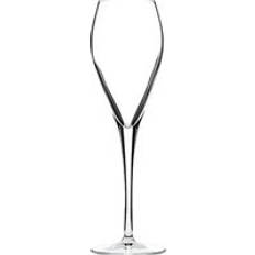 Artis Prestige Flute 20cl 1 x 24 Champagne Glass