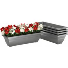 Blomlåda 5-pack 59 x 21 x 16 cm Grå
