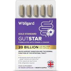 Wellgard Gutstar Probiotics 16 Strain Probiotics for Gut Health with Fennel