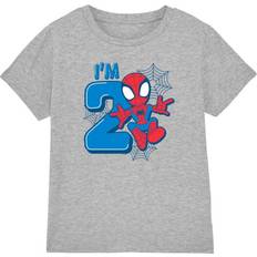 Childrens Kids Cute Spidey 2nd Birthday T-Shirt - Heather