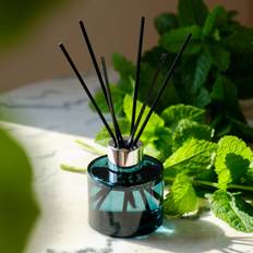 Maison Berger Summer Green Mini Scented Bouquet Diffuser Water Mint Candlestick, Candle & Home Fragrance